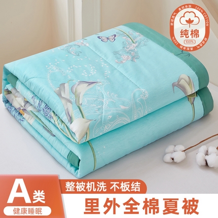 91家纺网 家纺一手货源 找家纺 （总）黛妮雅2025新款里外全棉印花棉花被纯棉单件夏被夏凉被空调被夏被四件套