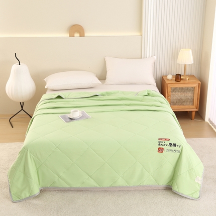 91家纺网 家纺一手货源 找家纺 （总）薇玛仕 2025新款超声波原棉大豆夏凉被纯色双空调被