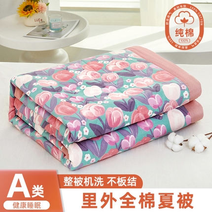 91家纺网 家纺一手货源 找家纺 （总）黛妮雅2025新款里外全棉印花棉花被纯棉单件夏被夏凉被空调被夏被四件套