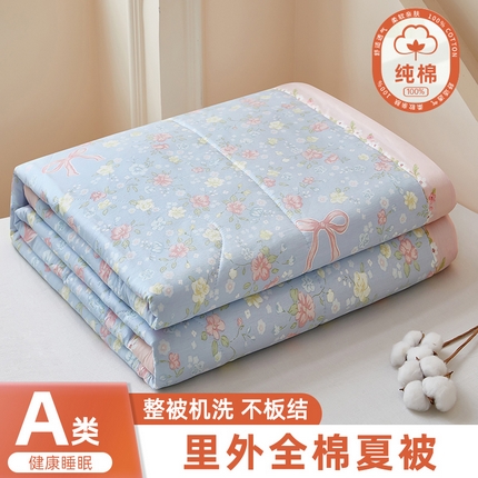 91家纺网 家纺一手货源 找家纺 （总）黛妮雅2025新款里外全棉印花棉花被纯棉单件夏被夏凉被空调被夏被四件套