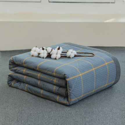 柠萌家居 2025新款全棉色织水洗棉棉花夏被四件套里外全棉 夏凉被被子被芯 瓦尔灰