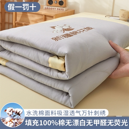 91家纺网 家纺一手货源 找家纺  2025新款A类100%新疆棉花夏凉被纯棉全棉填充毛巾绣绣花纯色双拼原棉空调被夏被 云暖-云雾灰