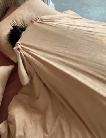 91家纺网 家纺一手货源 找家纺 安莱生活 2025全棉浮雕提花四件套-科林斯系列 科林斯-蜜棕红