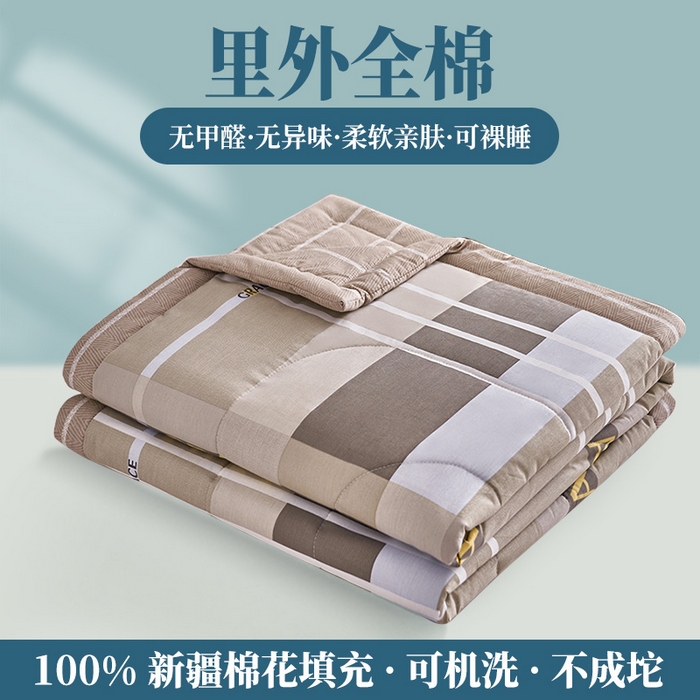 91家纺网 家纺一手货源 找家纺 羽梦家纺 2025新款新疆棉花全棉夏凉被被子被芯 奇彩空间