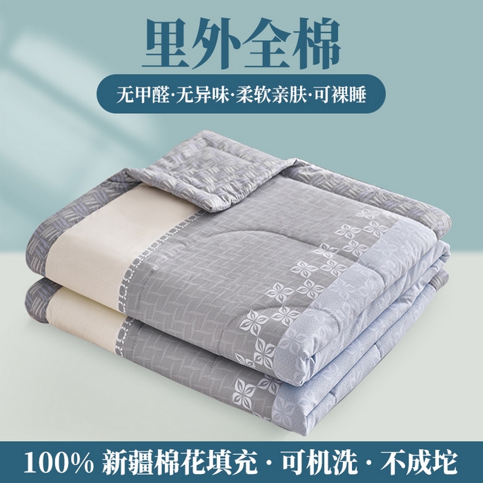 91家纺网 家纺一手货源 找家纺 羽梦家纺 2025新款新疆棉花全棉夏凉被被子被芯 梦想天空