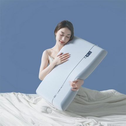 91家纺网 家纺一手货源 找家纺 （总）蔻眠 【2代升级三芯】零压慢回弹护颈枕头双芯三芯记忆棉枕芯