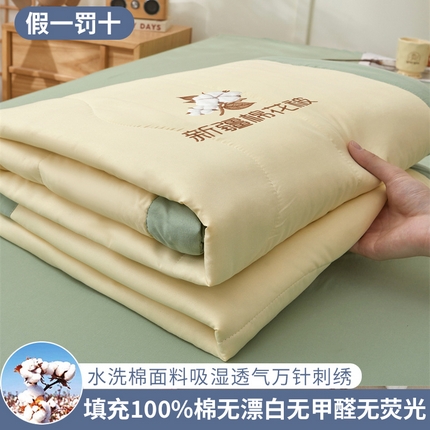 91家纺网 家纺一手货源 找家纺 （总） 2025新款A类100%新疆棉花夏凉被纯棉全棉填充毛巾绣绣花纯色双拼原棉空调被夏被