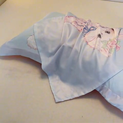 91家纺网 家纺一手货源 找家纺 笙意家纺 2025新款水洗真丝数码印花卡通枕套 可爱猫