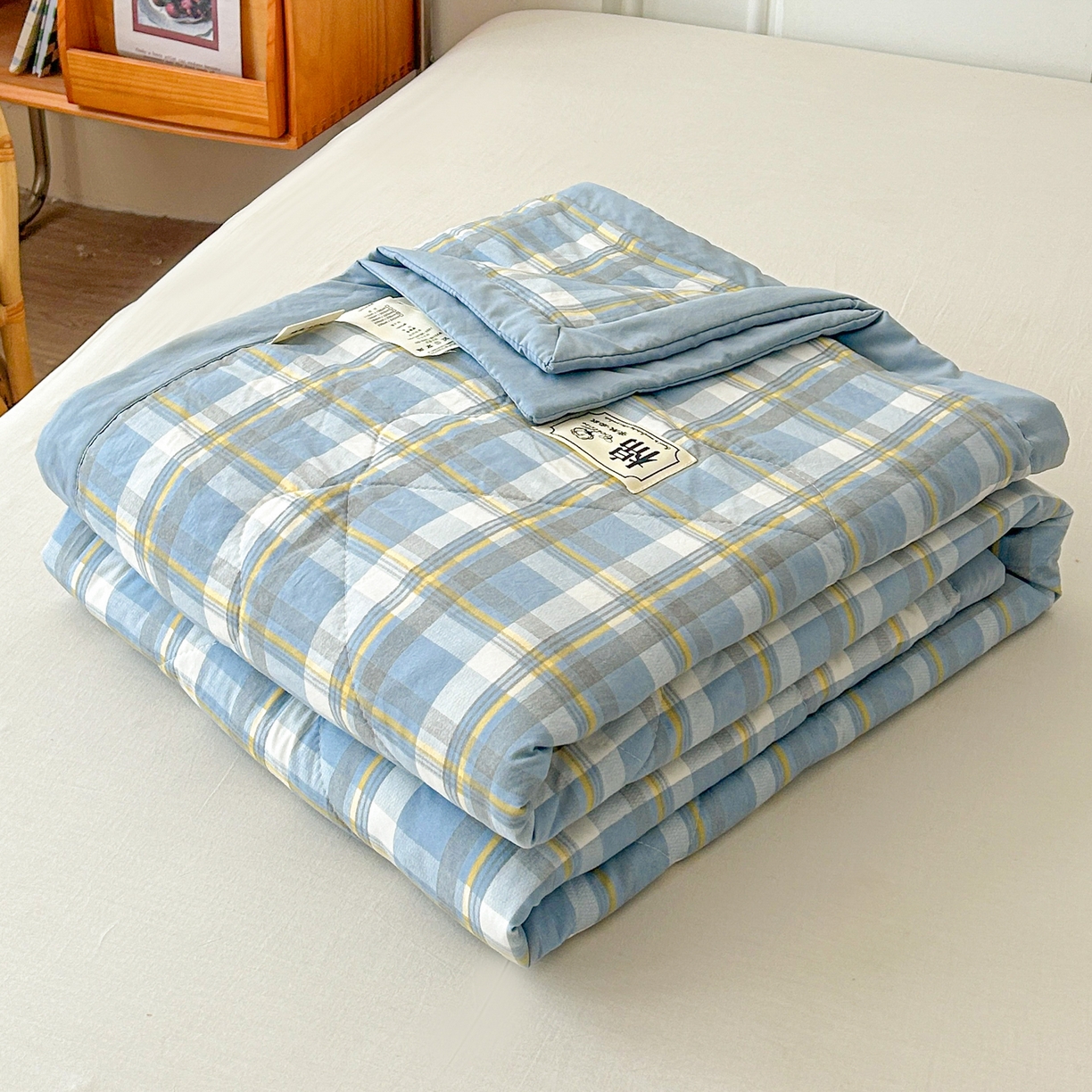 91家纺网 家纺一手货源 找家纺 佰丝居 2025新款A类水洗棉夏被100%新疆棉花被空调被夏凉被 莫妮卡