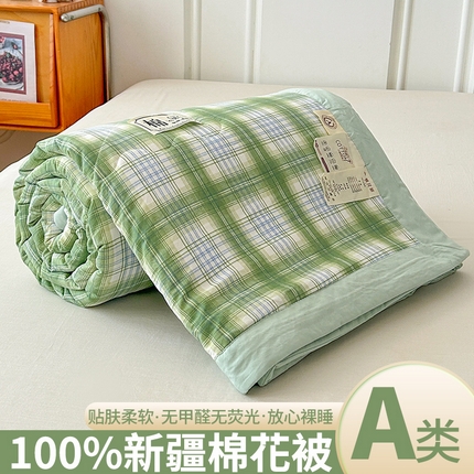 佰丝居 2025新款A类水洗棉夏被100%新疆棉花被空调被夏凉被 雅致绿