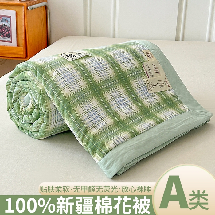 91家纺网 家纺一手货源 找家纺 佰丝居 2025新款A类水洗棉夏被100%新疆棉花被空调被夏凉被 雅致绿