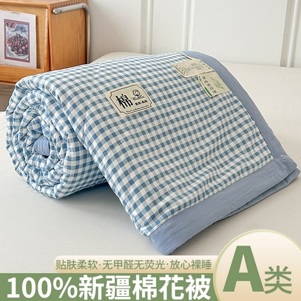 佰丝居 2025新款A类水洗棉夏被100%新疆棉花被空调被夏凉被 蓝小格