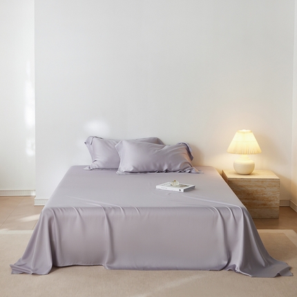 91家纺网 家纺一手货源 找家纺 （总）简纯主义 2025新款100s超细旦天丝系列床单单件-单床单