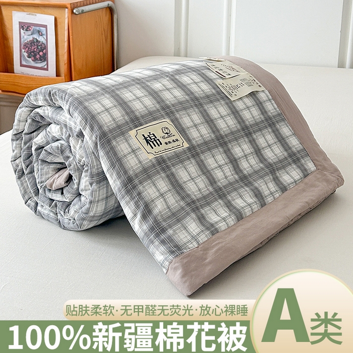 91家纺网 家纺一手货源 找家纺 佰丝居 2025新款A类水洗棉夏被100%新疆棉花被空调被夏凉被 雅致灰