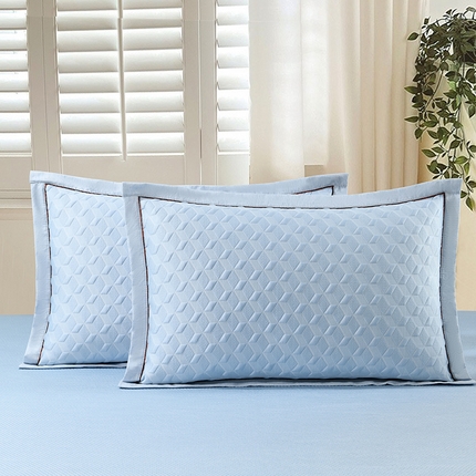 小猫派 2025夏季冰丝枕头套A类豆豆凉感常规枕套 凉感不绣花-菱形蓝