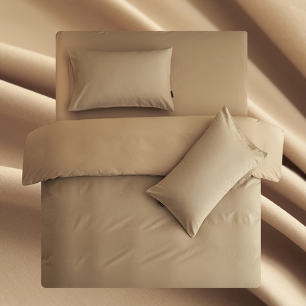 2025新款全棉13372水洗棉双拼四件套（影棚暗光） 漫雾+古巴砂