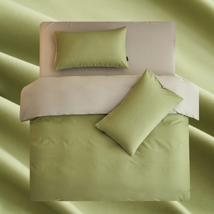 2025新款全棉13372水洗棉双拼四件套（影棚暗光） 扶苏绿+毛毯灰