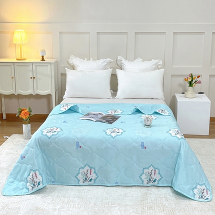 诗雅纺织 2025新款亲肤柔软钻石绒夏被空调被 艾草抗菌