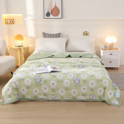 诗雅纺织 2025新款超柔水洗棉夏凉被空调被 花心