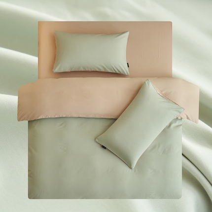 2025新款全棉13372水洗棉双拼四件套（影棚暗光） 春风十里+浮生一梦