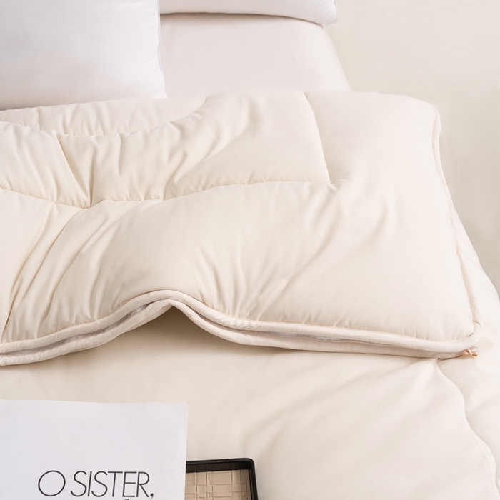 91家纺网 家纺一手货源 找家纺 易睡2025年新款大豆被春秋被冬被被子被芯 米色