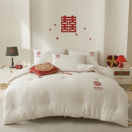 91家纺网 家纺一手货源 找家纺 （总）莱登卡奴 2025新款A类全棉水洗棉提花婚庆被芯55%大豆被系列-单被