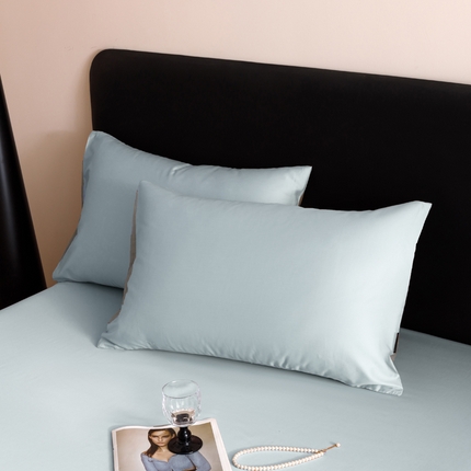 91家纺网 家纺一手货源 找家纺 （总）寐绸家纺 2025新款纯棉60支长绒棉系列单枕套（拍法二）