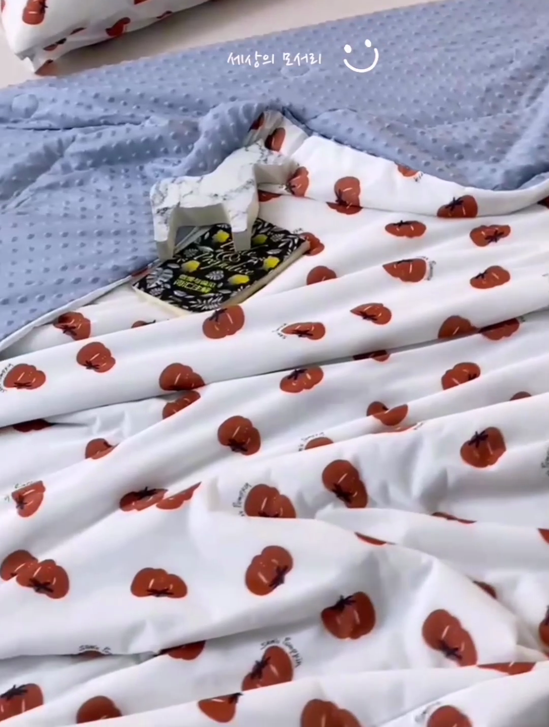 91家纺网 家纺一手货源 找家纺 绒梦里 2025新款A类小凉皮凉感冰豆豆夏被空调被 南瓜小梦