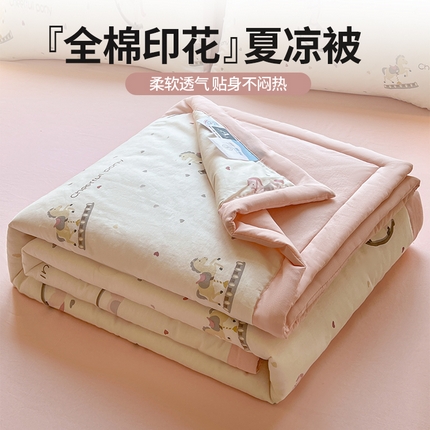 91家纺网 家纺一手货源 找家纺 （总）典冠 2025新款全棉印花夏凉被夏被四件套