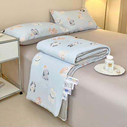 91家纺网 家纺一手货源 找家纺 （总）莱登卡奴 2025新款A类锦氨凉感被数码印花夏被