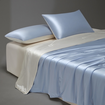 91家纺网 家纺一手货源 找家纺 （总）莱登卡奴 2025新款A类锦氨亮丝凉感被亲肤绸夏被子被芯