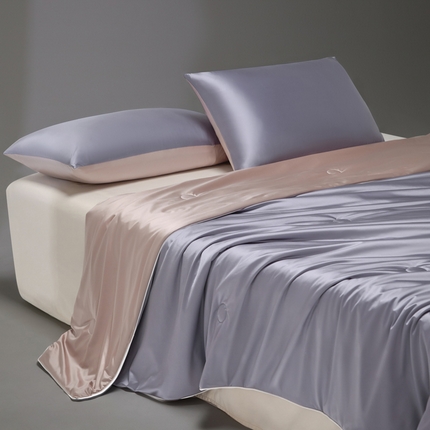 91家纺网 家纺一手货源 找家纺 （总）莱登卡奴 2025新款A类锦氨亮丝凉感被亲肤绸夏被子被芯