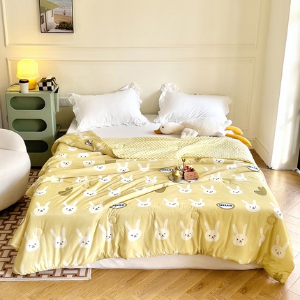 绒梦里 2025新款A类小凉皮凉感冰豆豆夏被空调被 HELLO兔