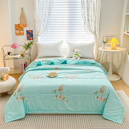 好欣怡家纺 2026新款生态棉夏被礼品被空调被直播引流款夏凉被子 生态棉包边款-薄荷绿