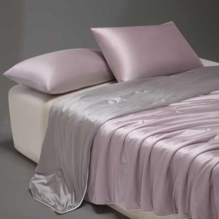 91家纺网 家纺一手货源 找家纺 （总）莱登卡奴 2025新款A类锦氨亮丝凉感被亲肤绸夏被子被芯