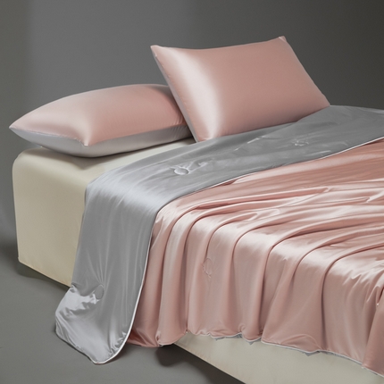 91家纺网 家纺一手货源 找家纺 （总）莱登卡奴 2025新款A类锦氨亮丝凉感被亲肤绸夏被子被芯