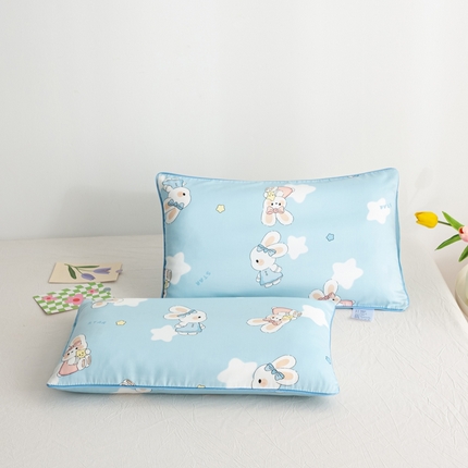 萌番宝A类新款60支长绒棉纯棉儿童枕套枕头枕头套40x60单只30x50内胆套 嗒嗒兔蓝