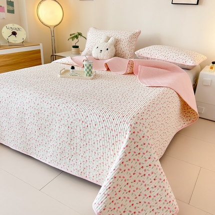 91家纺网 家纺一手货源 找家纺 （总）恒尚居 2025新款全棉床盖床单小清新床垫床褥垫-跑量（四季款）