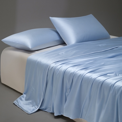 91家纺网 家纺一手货源 找家纺 （总）莱登卡奴 2025新款A类锦氨亮丝凉感被亲肤绸夏被子被芯