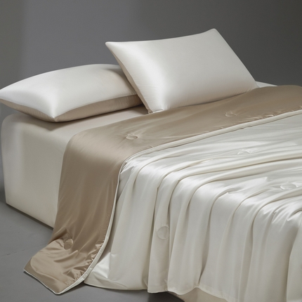 91家纺网 家纺一手货源 找家纺 （总）莱登卡奴 2025新款A类锦氨亮丝凉感被亲肤绸夏被子被芯