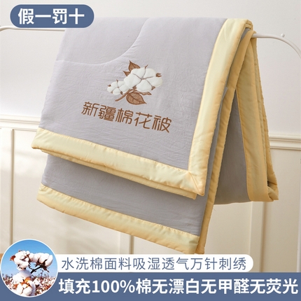 2025新款A类绣花纯色手包边新疆棉花夏被 云暖 云雾灰