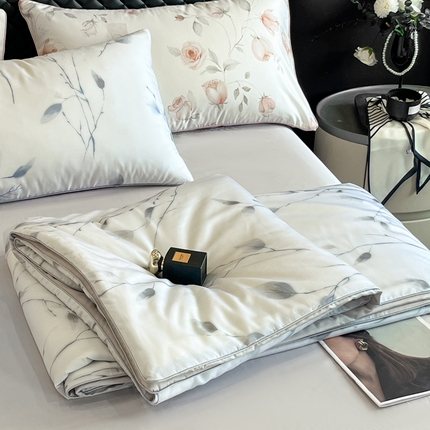 一加一 2025新款60S莱赛尔凉感蚕蛹蛋白夏被四件套 静谧