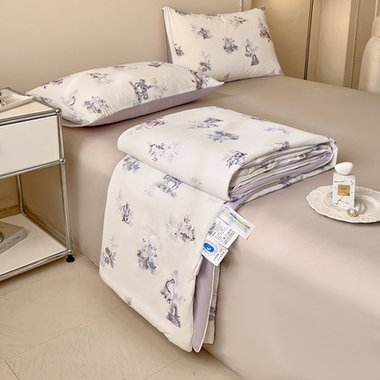 91家纺网 家纺一手货源 找家纺 （总）莱登卡奴 2025新款A类锦氨凉感被数码印花夏被