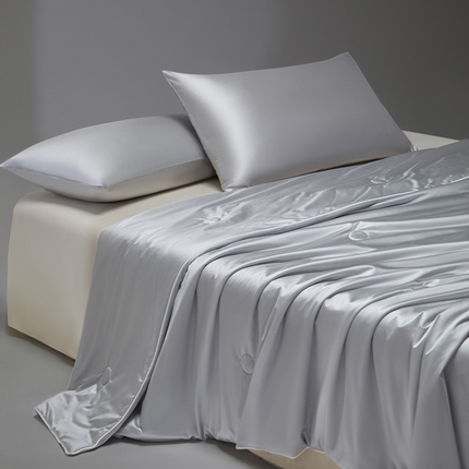 91家纺网 家纺一手货源 找家纺 （总）莱登卡奴 2025新款A类锦氨亮丝凉感被亲肤绸夏被子被芯