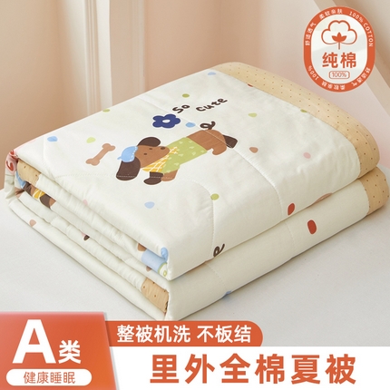 91家纺网 家纺一手货源 找家纺 （总）黛妮雅 2025新款全棉印花棉花被纯棉单件夏被夏凉被空调被 夏被四件套