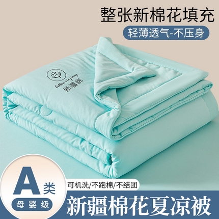 晓时候 2025新款无印风水洗棉新疆棉花被夏被夏凉被空调被子 素夏-水蓝