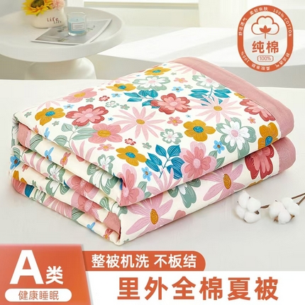 91家纺网 家纺一手货源 找家纺 （总）黛妮雅 2025新款全棉印花棉花被纯棉单件夏被夏凉被空调被 夏被四件套