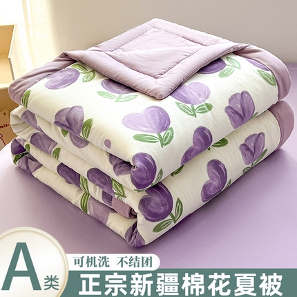 晓时候 2025新款水洗棉夏被新疆棉花被印花夏凉被空调被薄被子 郁金香-紫