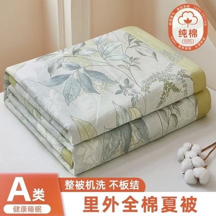 91家纺网 家纺一手货源 找家纺 （总）黛妮雅 2025新款全棉印花棉花被纯棉单件夏被夏凉被空调被 夏被四件套