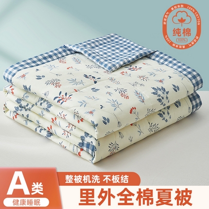 91家纺网 家纺一手货源 找家纺 （总）黛妮雅 2025新款全棉印花棉花被纯棉单件夏被夏凉被空调被 夏被四件套